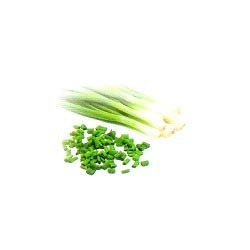 Fresh Spring Onion Manufacturer Supplier Wholesale Exporter Importer Buyer Trader Retailer in Amritsar Punjab India